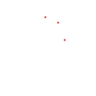 Liup in Unicamp